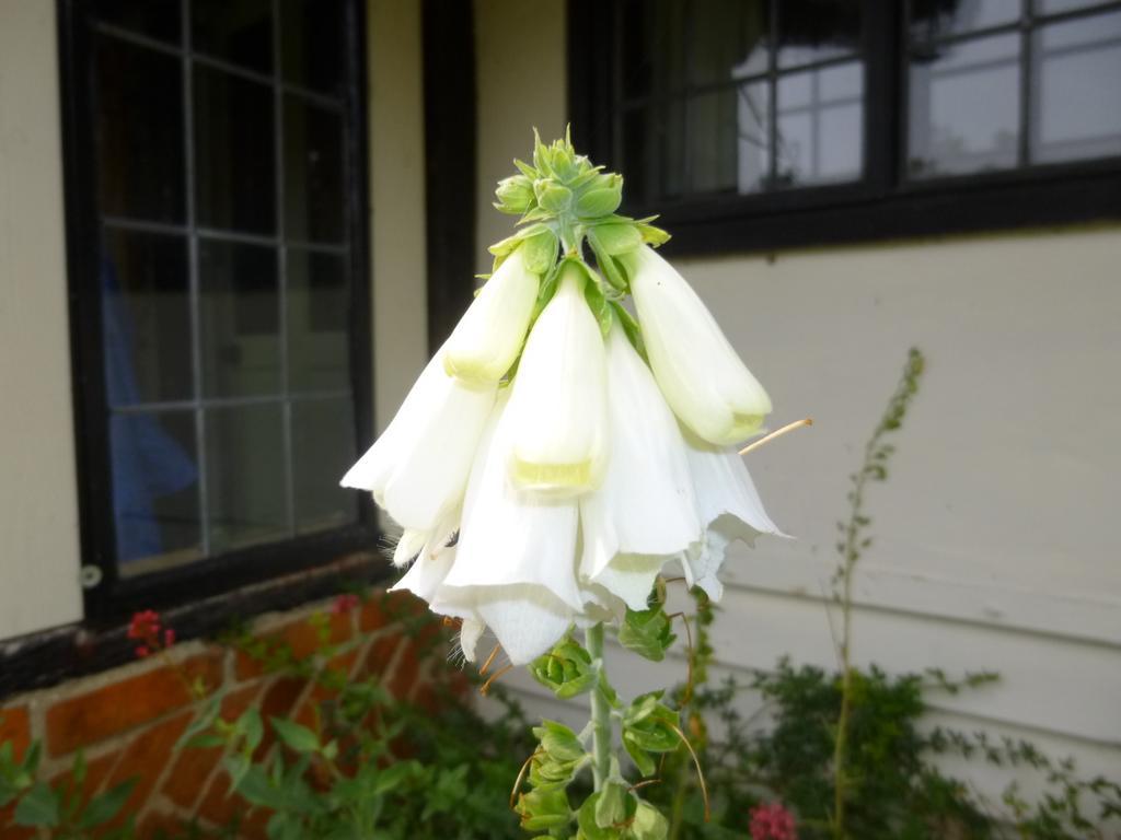Church Hall Farm Bed And Breakfast Broxted Kamer foto